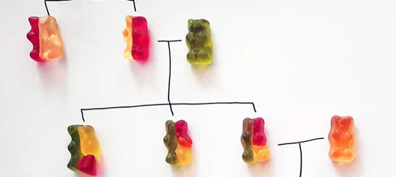 Gummy Bear Experiment
